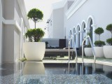 The Ritz Carlton Abu Dhabi#16